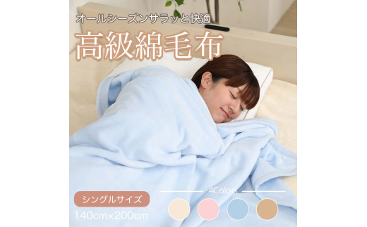 ya̎RzM347@V[D@Ȗѕz@VO@u[