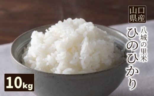 yR֎szy1񂨓͂zЂ̂Ђ  10kg  ߘa7Nx