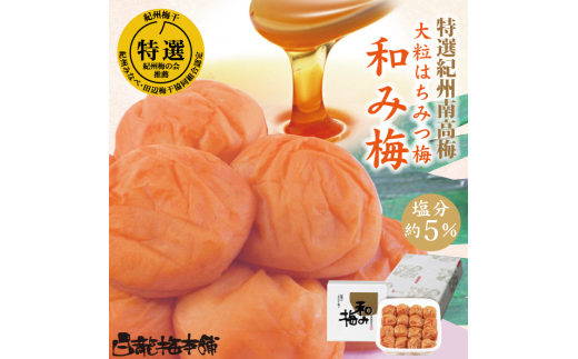 【和歌山県】M071 紀州完熟南高梅 和み梅