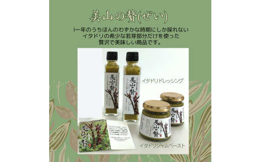 ya̎RzM184@yRҁzC^h̃WƃhbVÕZbg