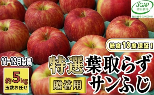 №5554-0130]11～12月発送【 糖度保証 】 贈答用 葉取らず サン