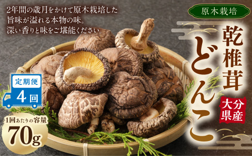 大分産 しいたけ 花どんこ 250g 肉厚 干ししいたけ きのこ