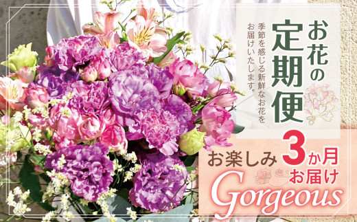 yszszy݁I 3 ͂    uGorgeousv | u[P ^Cv 45cm-50cm {15-20{ flower t[ ӂ[  ͂ gV[h CeA A  C 