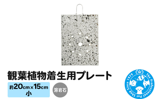 yQnWyzϗtApv[g n (20×15cm) 1 RE rJNV_