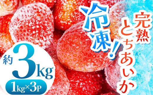 yȖ،^szyʌz nIⓀƂ 3kgy2026Ns\z |  O Iׂ  Ƃ Ⓚ ⓀC`S XC[c W X[W[ Ղ 嗱 Â 