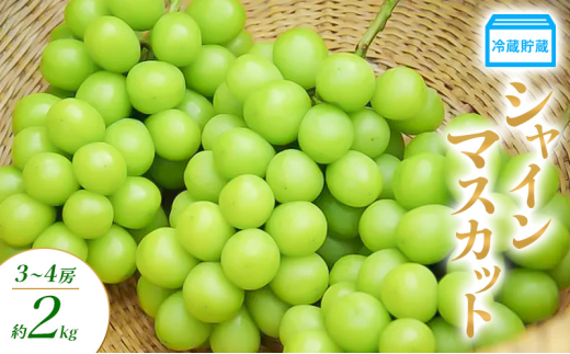 y쌧Rmz① VC}XJbg 3`4[ 2kg Ԃǂ uhE  }XJbg ʕ t[c 쌧  Rm
