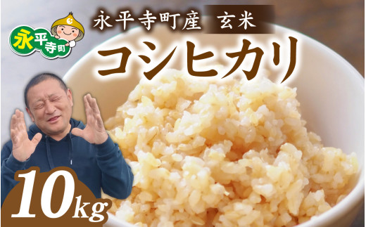 y䌧izys\ziѓY@RVqJ  yāz10kg /ӂ邳Ɣ[  Ђ 10L  䌧 i    ˂̒n     Y 