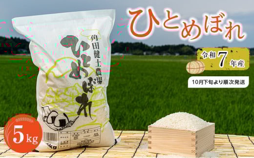 y{錧pcszߘa7NY  ЂƂ߂ڂ 5kg      ͂ ɂ qg{ Y  lC  Hi {