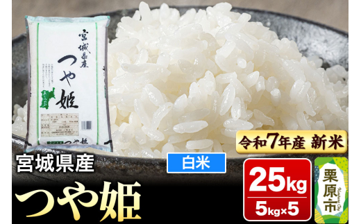 y{錧IszyVĎtzyߘa7NYEāz{錧Y P 25kg (5kg×5)