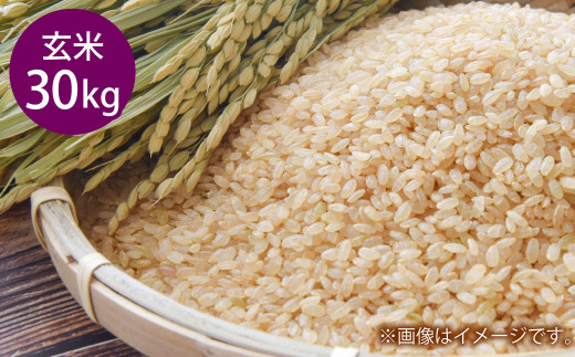 令和7年産 岡山県倉敷市産 きぬむすめ 玄米 30kg【2025年10月上旬より 