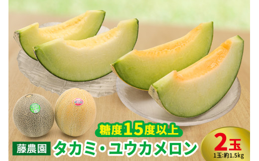 メロン [タカミ] [ユウカ] 2玉セット｜青森産 産直 2025年産 令