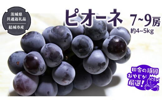 y錧΂݂炢szsI[l 7`9[ 4`5kgy2026N8蔭Jnzi錧ʕԗi [Ԃǂ]FsYjcɂ̊ł₶II Ԃǂ uhE  Ȃ 嗱 x M