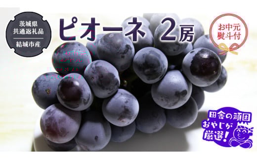 y錧΂݂炢szy ltz sI[l 2[ y2026N7蔭Jnz i錧ʕԗi [Ԃǂ]FsYj cɂ̊ł₶II  Ԃǂ uhE  嗱 Mtg