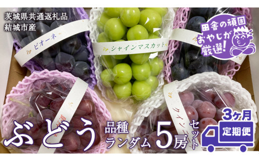 y錧΂݂炢szyցzԂǂ i탉_5[Zbgy2025N83AŔzi錧ʕԗi [Ԃǂ]FsYj uhE  ʕ t[c 錧Y