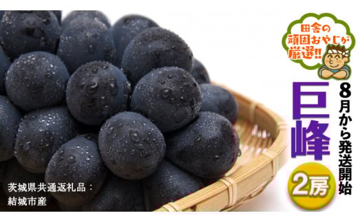 y錧΂݂炢sz Q[y2026N8蔭Jnzi錧ʕԗi [Ԃǂ]FsYj cɂ̊ł₶II