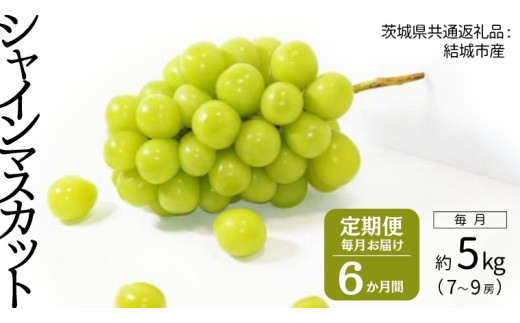 y錧΂݂炢szyցz VC}XJbg 7`9[(5kg) × UA͂I y2026N8甭Jnz i錧ʕԗi [Ԃǂ]FsYj    VC}