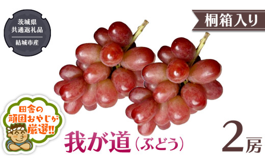 y錧΂݂炢szy ˔ z䂪 i Ԃǂ j 2[ y2026N9甭Jnzi錧ʕԗi [Ԃǂ]FsYj  Ԃǂ 䂪 ʕ t[c G {