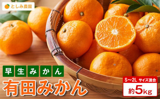 ya̎RLc쒬zLc݂ ݂ Gi܂͗Di 5kg S`2LTCY Ƃݔ_