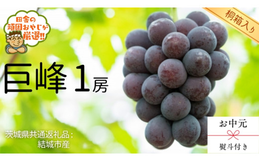 y錧΂݂炢szy  l t zy ˔ z1[  y2026N8蔭Jnzi錧ʕԗi [Ԃǂ]FsYj  Ԃǂ ʕ t[c G {