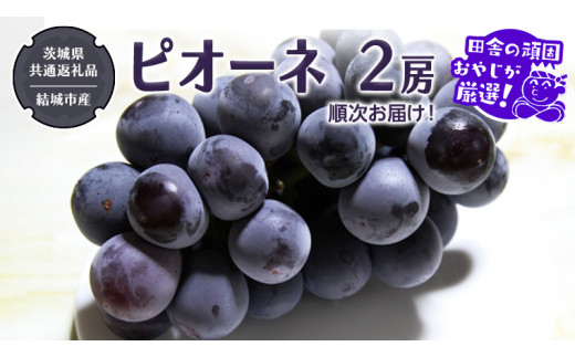 y錧΂݂炢szsI[l 2[ y2026N8蔭Jnzi錧ʕԗi [Ԃǂ]FsYjcɂ̊ł₶II Ԃǂ uhE  嗱 Mtg Â  t[