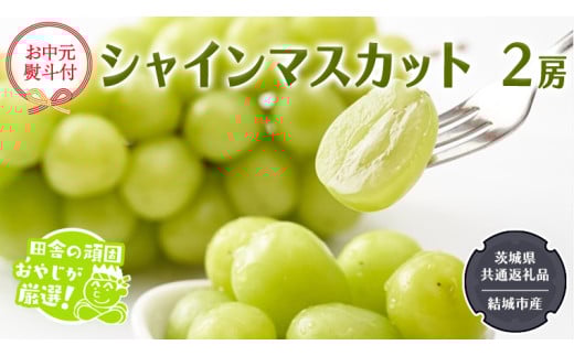 y錧΂݂炢szy ltz VC}XJbg 2[ y2026N7甭Jnz i錧ʕԗi [Ԃǂ]FsYj cɂ̊ł₶II }XJbg Ȃ 