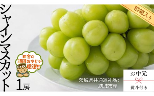 y錧΂݂炢szy  l t zy ˔ zVC}XJbg1[  y2026N8蔭Jnzi錧ʕԗi [Ԃǂ]FsYj VC}XJbg Ԃǂ ʕ