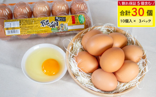 yQRszy12z-񂽂܂- 30(10×3pbN) ۏ5܂  ܂ ^}S ʎq  ͂ TKG GbO egg Q Rs