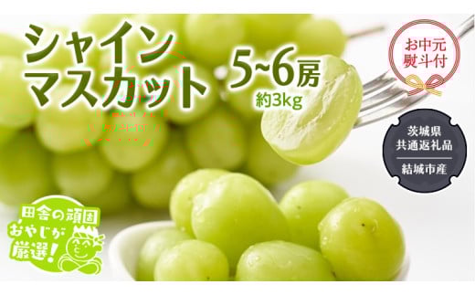 y錧΂݂炢szy ltz VC}XJbg 3kg 5?6[ y2026N7蔭Jnz i錧ʕԗi [Ԃǂ]FsYj cɂ̊ł₶II }XJbg 