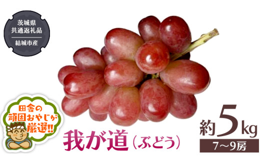 y錧΂݂炢sz䂪 i Ԃǂ j 5Li7`9[jy2026N9甭Jnz i錧ʕԗi [Ԃǂ]FsYj Ԃǂ 䂪 ʕ t[c G {