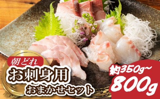 yOdɐzhg ܂ Zbg 2`3 350g`800g 荇킹 ① ǂ hg hg ^C   u  }O  q}T  Jp` V}AW q VN   C