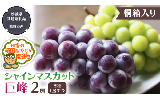 y錧΂݂炢szy ˔ z VC}XJb g  ie1[j y2026N8甭Jnzi錧ʕԗi [Ԃǂ]FsYj VC}XJbg  Ԃǂ