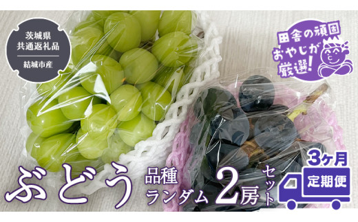 y錧΂݂炢szyցzԂǂ i탉_2[Zbgy2025N83AŔzi錧ʕԗi [Ԃǂ]FsYj  uhE  ʕ t[c 錧Y