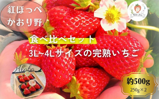 ym{szys\EʌzypE3L~4L嗱EHהׁzgق؁Zbg500gîꊮn 250g×2Pj