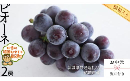 y錧΂݂炢szy  l t zy ˔ z sI[l2[  y2026N8蔭Jnzi錧ʕԗi [Ԃǂ]FsYj sI[l Ԃǂ ʕ t[c G {