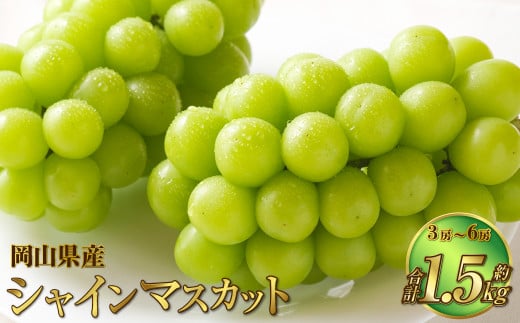 yRދ`zRY VC}XJbg  1.5kgi3[`6[j ʕ t[c  Ԃǂ uhE  }XJbg Ȃ 햳 ① Y ދ` y2026N7{`8{