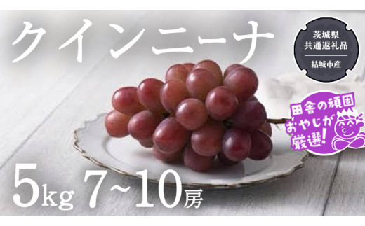 y錧΂݂炢szNCj[i 5kgi7?10[jy2025N9蔭Jnzi錧ʕԗi [Ԃǂ]FsYj Ԃǂ uhE  ʕ t[c 錧Y