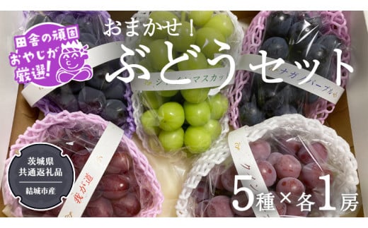 y錧΂݂炢sz܂I Ԃǂ Zbg 5i×e1[y2025N9蔭Jnzi錧ʕԗi [Ԃǂ]FsYj Ԃǂ uhE  ʕ t[c 錧Y