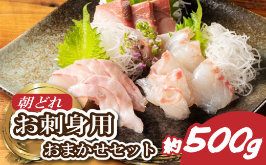 yOdɐzhg ܂ 2`3 500g 荇킹 hg hg Y  u }O q}T Jp` V}AW q VN   CN CN Od ɐ ɐ u 鐅