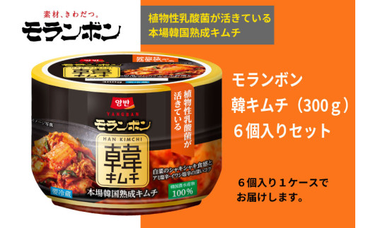 ys{szy{z؃L`300g@6