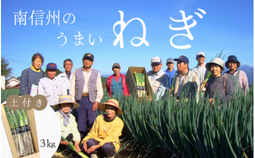 JA24-25B 土付きねぎ 約3kg / 2025年12月中旬〜2026年2月上旬頃配送