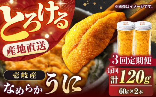 生ウニB品４本‼︎ 大千 極上 生ウニ 並び 250g 青森県大間産ムラサキウニ（白ウニ
