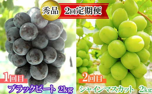 yo_szy2026N8{ȍ~zy2ցzy_ƒzIVC}XJbgƃubNr[g̒