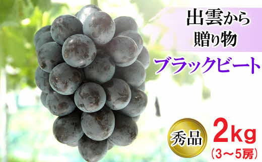 yo_szy2026N8{ȍ~z[_ƒ]IubNr[g2kgi3`5[j[c_]