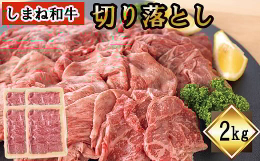 yo_sz܂˘a@؂藎Ƃ@2