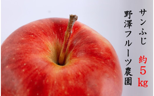 276 先行予約 りんご サンふじ5㎏【野澤フルーツ農園】 - 長野県辰野