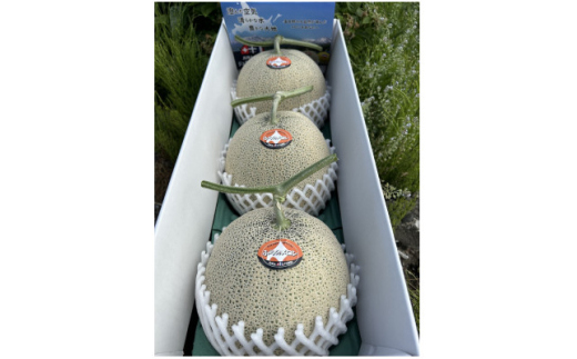 ykCxǖsz2026NI@xǖ상 (ԓ)@3(ʁEe2kg)y1626440z