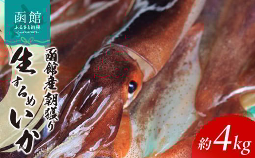 ykCَszَYl萶߂_HD010-007