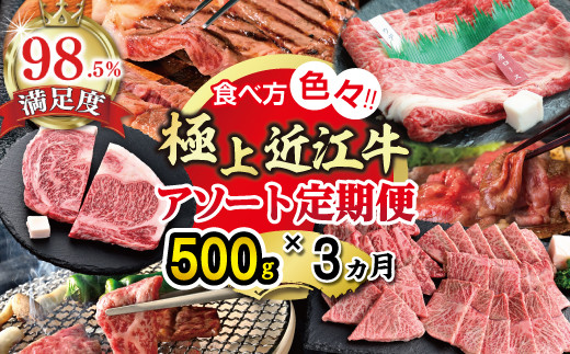 yꌧߍ]szyԌzɏߍ]500g@HוFXIA\[gցyZZ49Wz