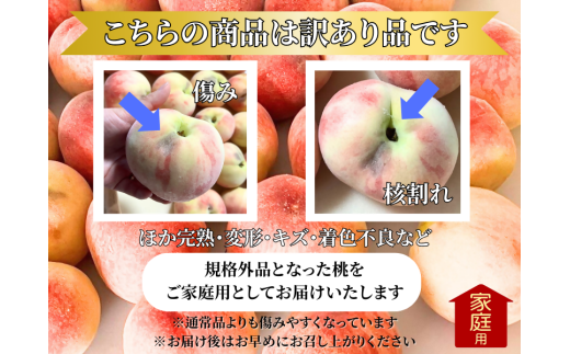 訳あり】山梨県産旬の桃 約3kg（8～12玉）【2025年発送】（LKS