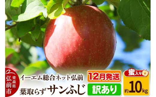25年12月発送】りんご【訳あり】葉取らず サンふじ 約10kg 糖度
